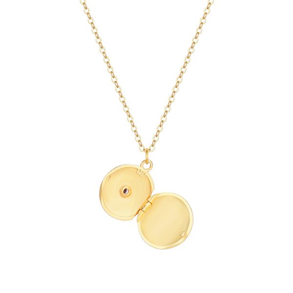 202_605beccf-0437-4e8b-a4f0-138215434fea.jpg Isabella Heart Locket Necklace