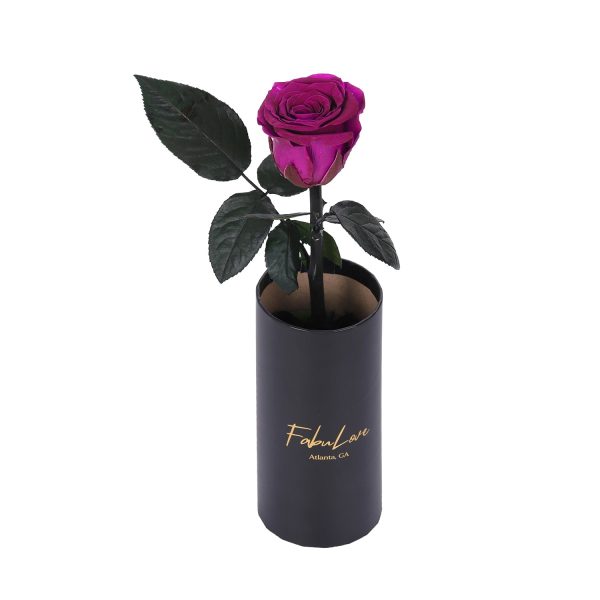 IMG_0217-_2.jpg Classic Single Eternal Rose