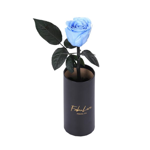 IMG_0217-_3.jpg Classic Single Eternal Rose