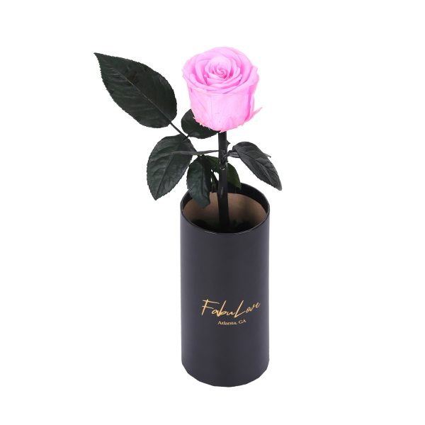 IMG_0217-_4.jpg Classic Single Eternal Rose