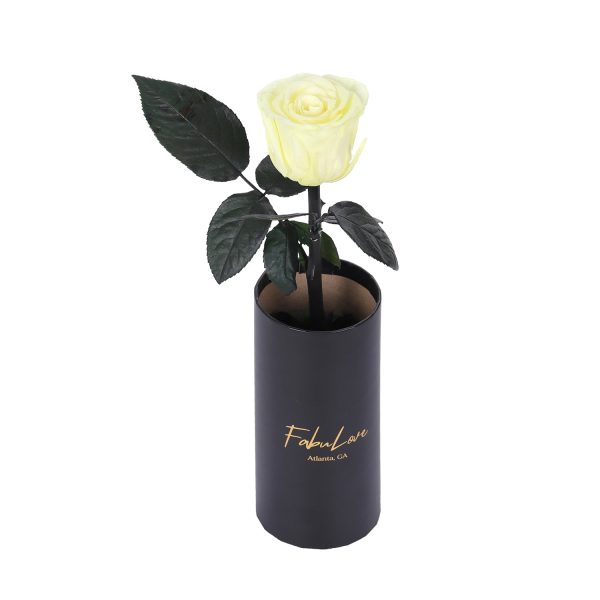 IMG_0217-_5.jpg Classic Single Eternal Rose