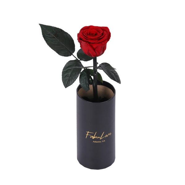 IMG_0217_1c3d1b33-b27e-49d7-8180-e4b26b4f6ec5.jpg Classic Single Eternal Rose