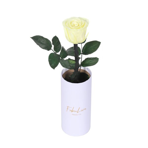 IMG_0224.jpg Classic Single Eternal Rose