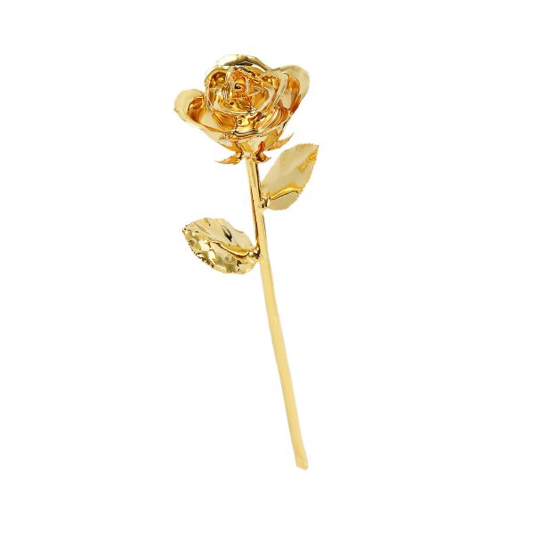 IMG_0396.jpg 24k Gold Dipped Rose