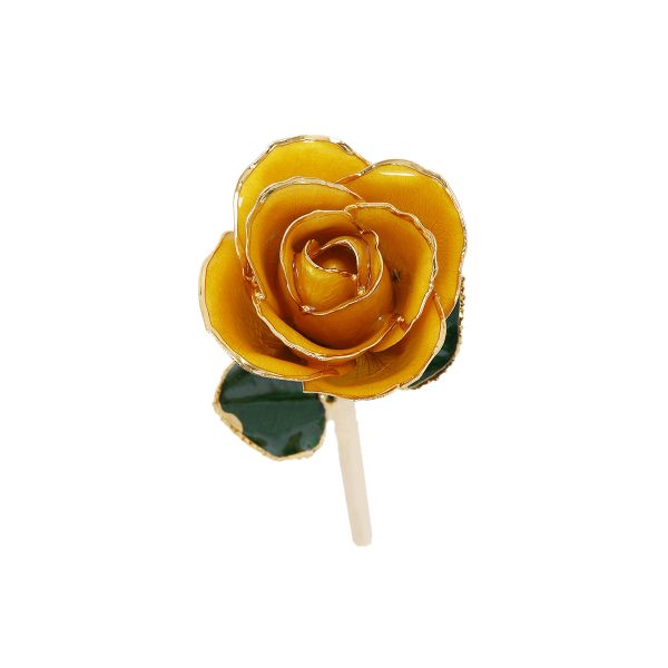 IMG_0400.jpg 24k Gold Dipped Rose