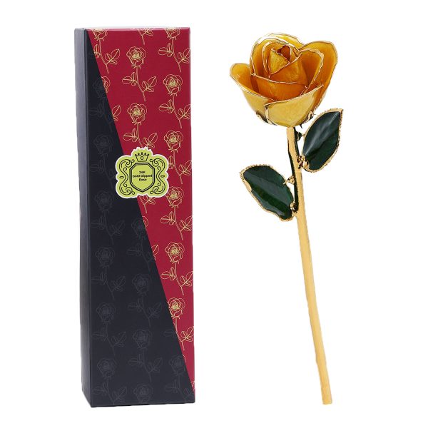 Orange.jpg 24k Gold Dipped Rose