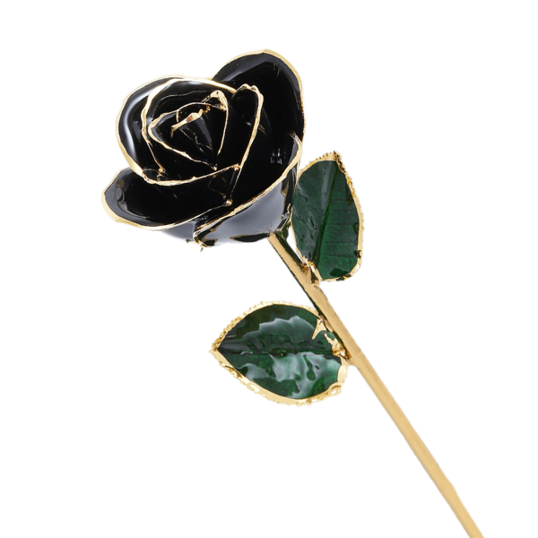 black-1.png 24k Gold Dipped Rose