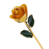 orange.png 24k Gold Dipped Rose