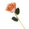 peach.png 24k Gold Dipped Rose
