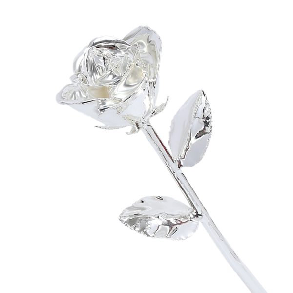 silver-1.png 24k Gold Dipped Rose